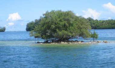 ग्लोबल वॉर्मिंगपासून परतीचे दोर कापले गेलेत का?